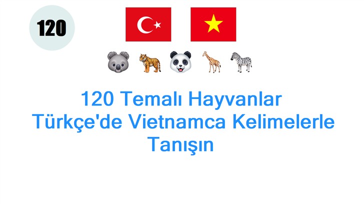 120 Temalı Hayvanlar: Türkçede Vietnamca Kelimelerle Tanışın